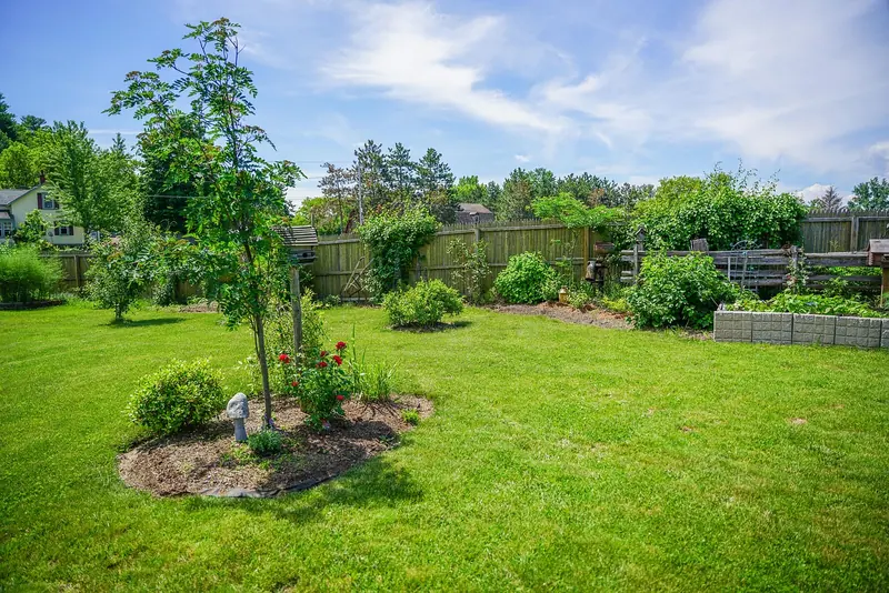Wide, lush backyard lawn with planted beds